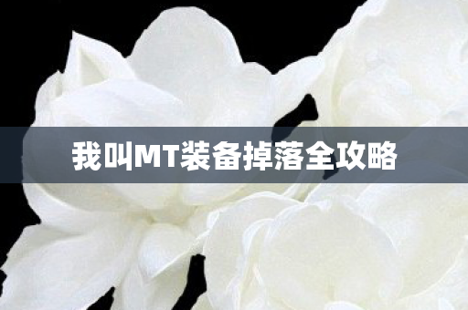 我叫MT装备掉落全攻略