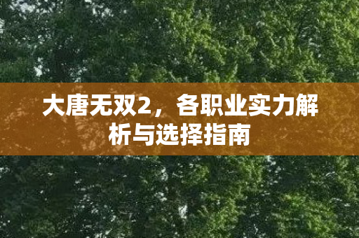 大唐无双2，各职业实力解析与选择指南