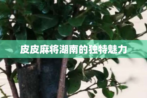 皮皮麻将湖南的独特魅力