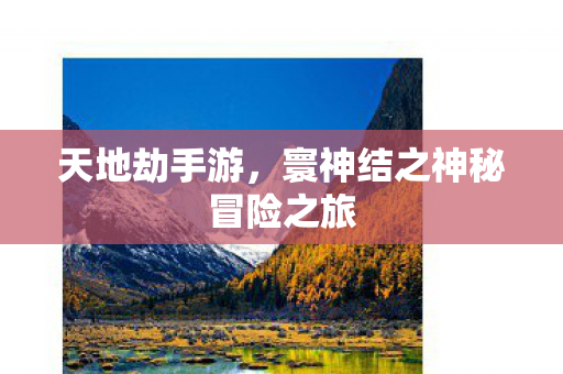 天地劫手游，寰神结之神秘冒险之旅