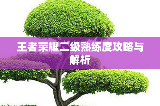 王者荣耀二级熟练度攻略与解析