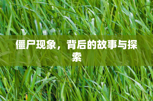 僵尸现象，背后的故事与探索