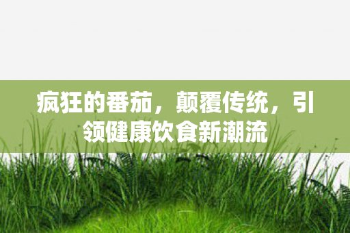 疯狂的番茄，颠覆传统，引领健康饮食新潮流