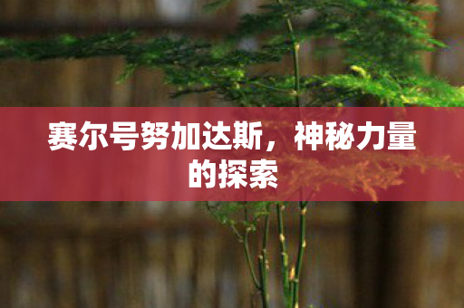 赛尔号努加达斯，神秘力量的探索