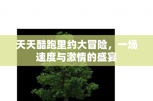 天天酷跑里约大冒险，一场速度与激情的盛宴