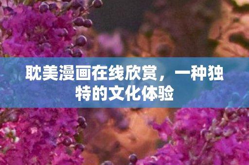 耽美漫画在线欣赏，一种独特的文化体验