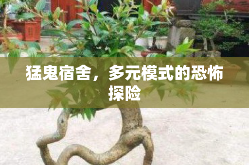 猛鬼宿舍，多元模式的恐怖探险