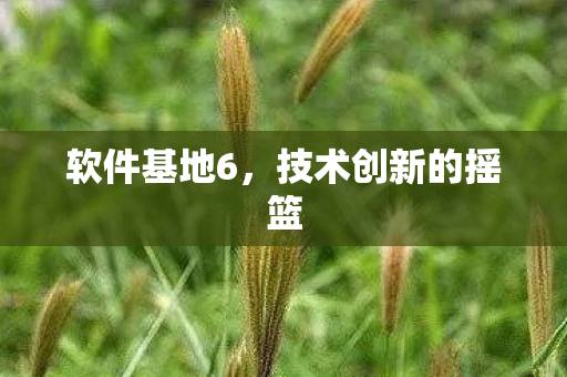 软件基地6，技术创新的摇篮