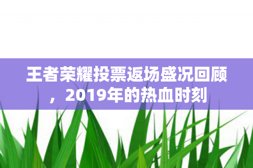 王者荣耀投票返场盛况回顾，2019年的热血时刻