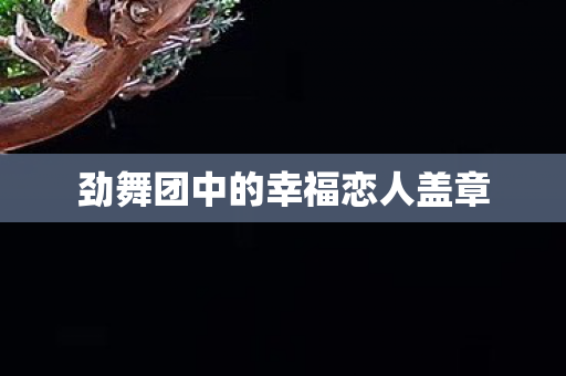 劲舞团中的幸福恋人盖章