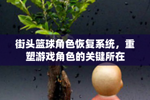 街头篮球角色恢复系统，重塑游戏角色的关键所在