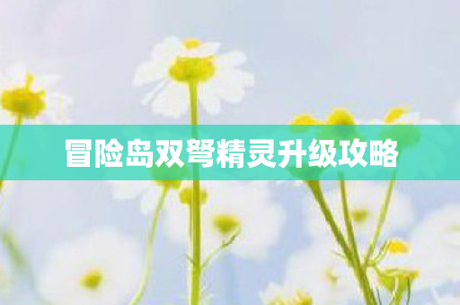 冒险岛双弩精灵升级攻略