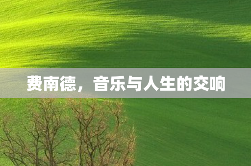 费南德，音乐与人生的交响