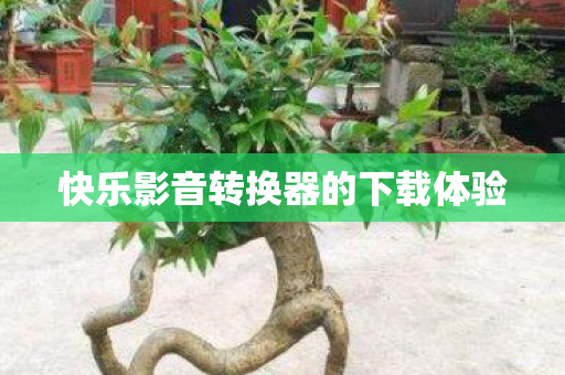快乐影音转换器的下载体验