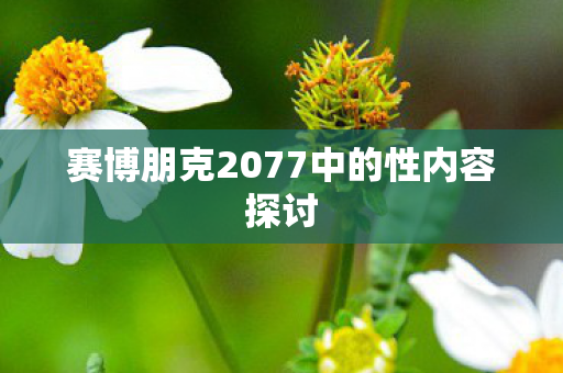赛博朋克2077中的性内容探讨
