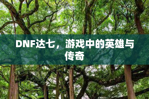 DNF达七，游戏中的英雄与传奇