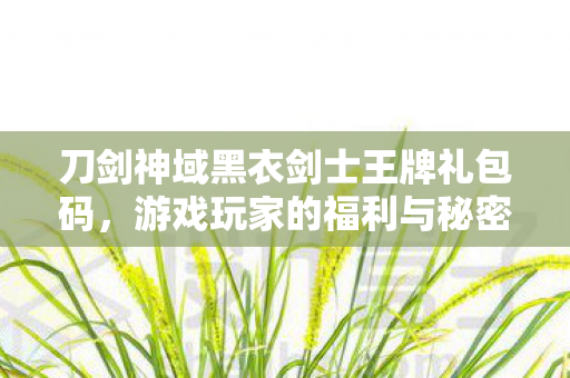 刀剑神域黑衣剑士王牌礼包码，游戏玩家的福利与秘密