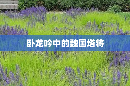 卧龙吟中的魏国塔将