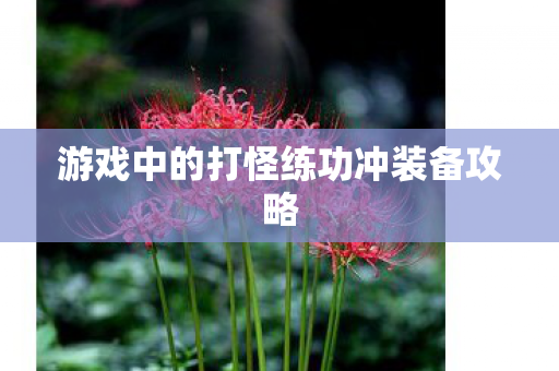 游戏中的打怪练功冲装备攻略