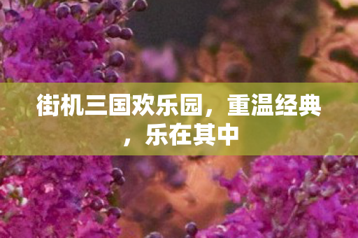 街机三国欢乐园，重温经典，乐在其中