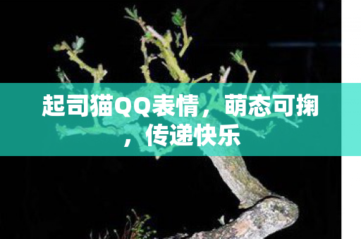 起司猫QQ表情，萌态可掬，传递快乐