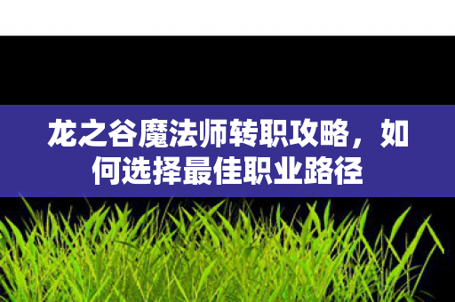 龙之谷魔法师转职攻略，如何选择最佳职业路径