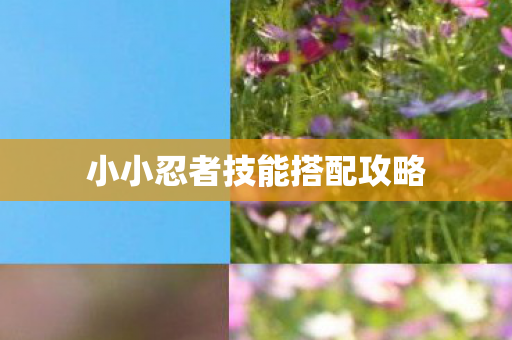 小小忍者技能搭配攻略