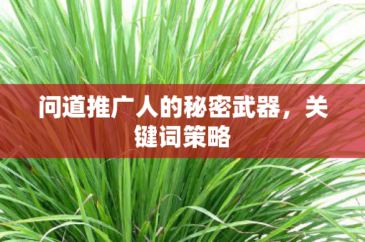 问道推广人的秘密武器，关键词策略
