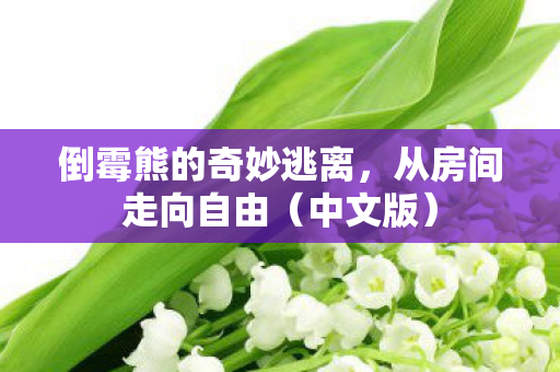 倒霉熊的奇妙逃离，从房间走向自由（中文版）