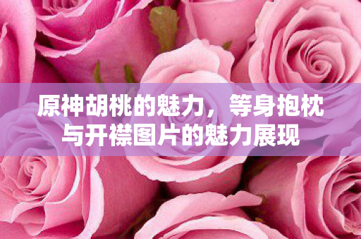 原神胡桃的魅力，等身抱枕与开襟图片的魅力展现