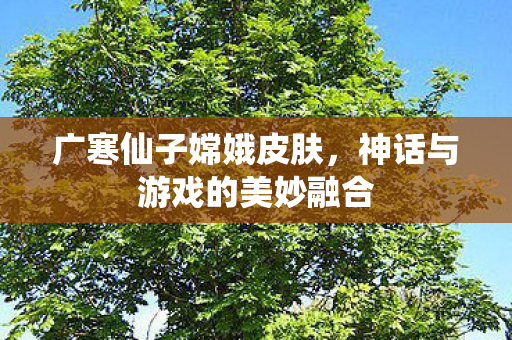 广寒仙子嫦娥皮肤，神话与游戏的美妙融合