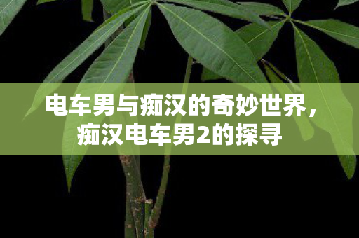 电车男与痴汉的奇妙世界，痴汉电车男2的探寻