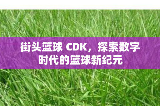 街头篮球 CDK，探索数字时代的篮球新纪元