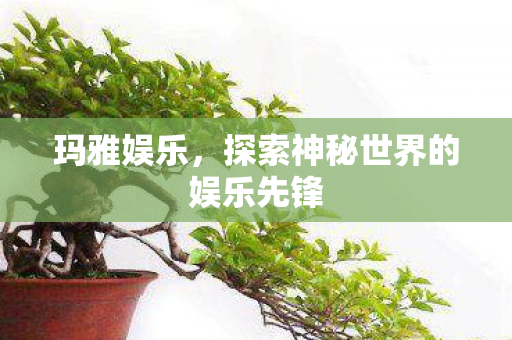 玛雅娱乐，探索神秘世界的娱乐先锋