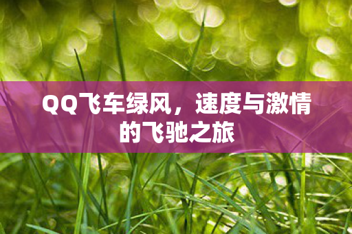 QQ飞车绿风，速度与激情的飞驰之旅