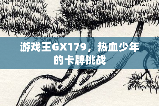 游戏王GX179，热血少年的卡牌挑战