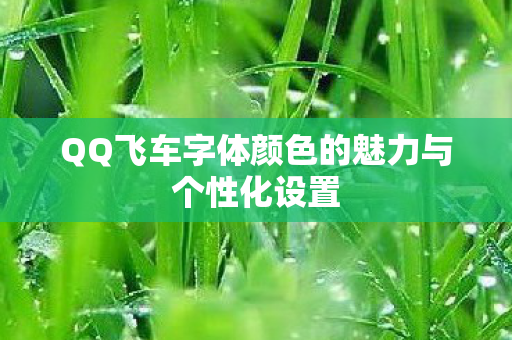 QQ飞车字体颜色的魅力与个性化设置