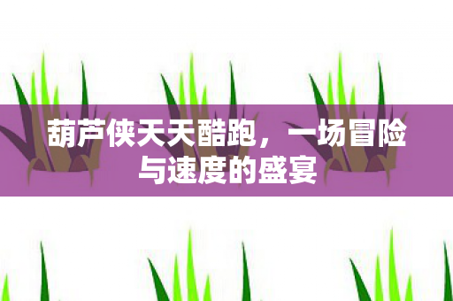 葫芦侠天天酷跑，一场冒险与速度的盛宴