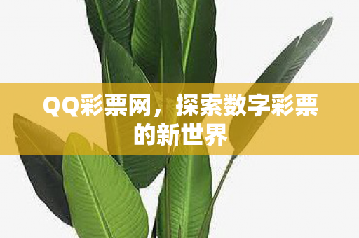 QQ彩票网，探索数字彩票的新世界