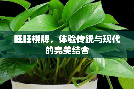 旺旺棋牌，体验传统与现代的完美结合