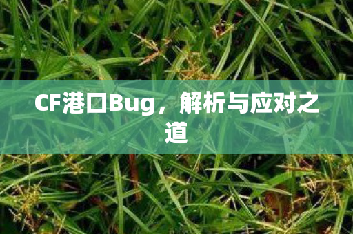 CF港口Bug，解析与应对之道