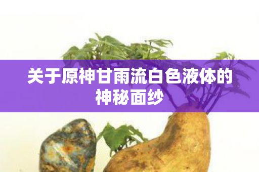 关于原神甘雨流白色液体的神秘面纱