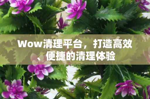 Wow清理平台，打造高效、便捷的清理体验