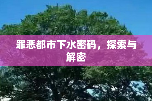 罪恶都市下水密码，探索与解密