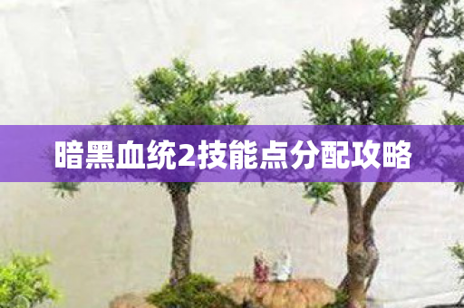 暗黑血统2技能点分配攻略