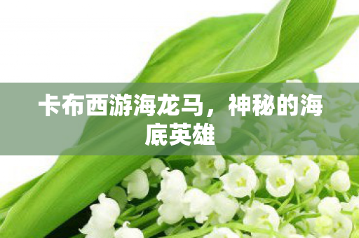 卡布西游海龙马，神秘的海底英雄