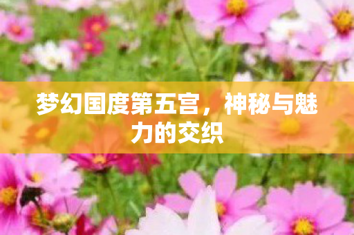 梦幻国度第五宫，神秘与魅力的交织