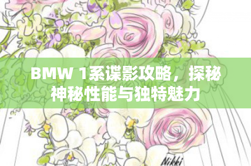BMW 1系谍影攻略，探秘神秘性能与独特魅力
