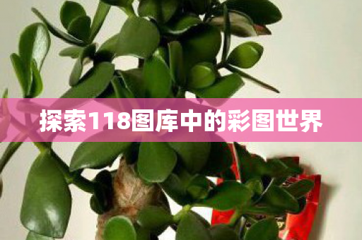 探索118图库中的彩图世界