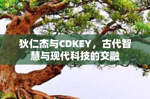 狄仁杰与CDKEY，古代智慧与现代科技的交融